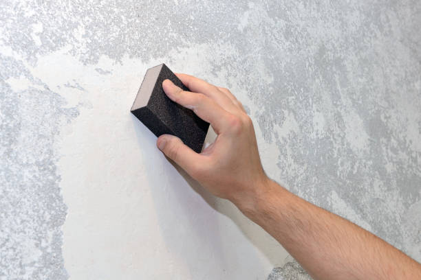 Best Environmental Consulting for Mold Prevention  in Roslyn Heights, NY