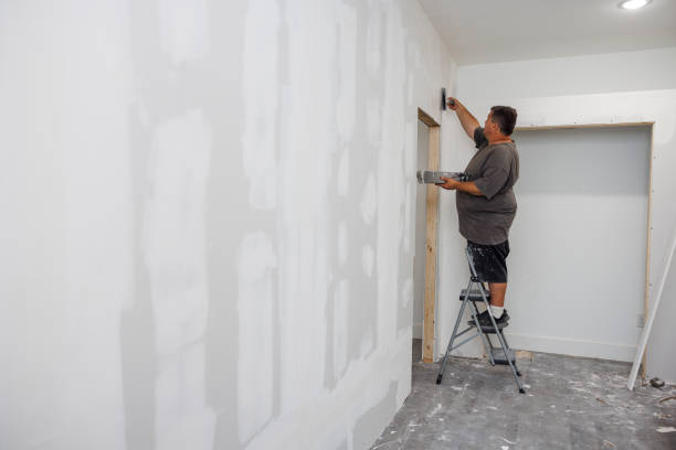 Best Mold Documentation for Insurance Claims  in Roslyn Heights, NY