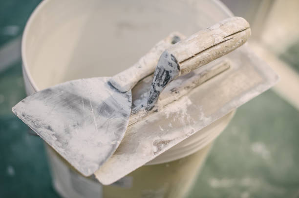 Professional Mold Removal in Roslyn Heights, NY
