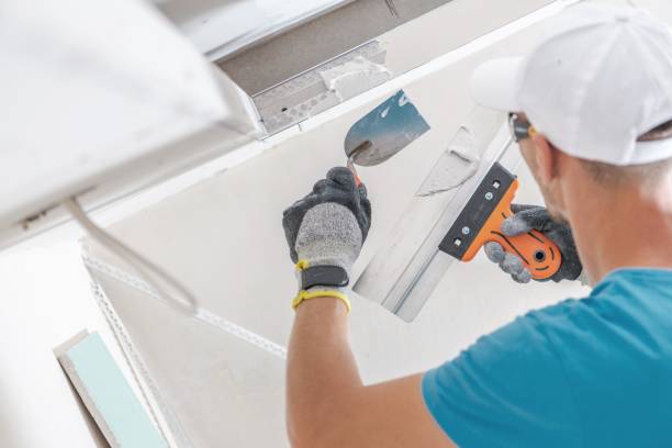 Best Air Quality Testing for Mold Spores  in Roslyn Heights, NY